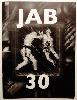 JAB 30 Journal of Artists' Books